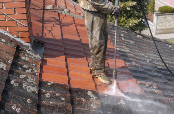 Roof Cleaning