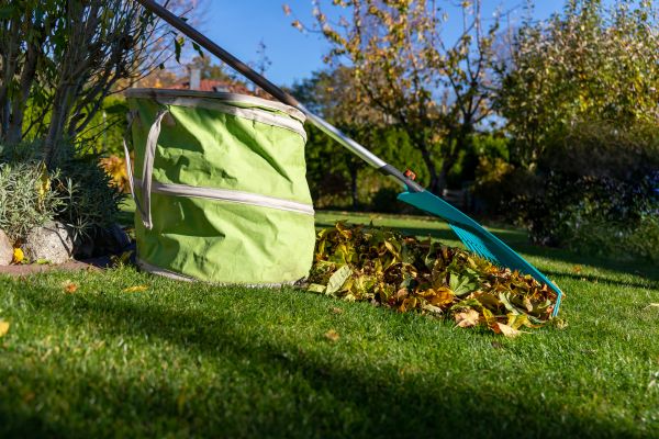 Outdoor Space Tidying