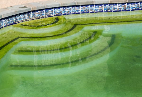 Pool Deck Algae Removal in Bluffton